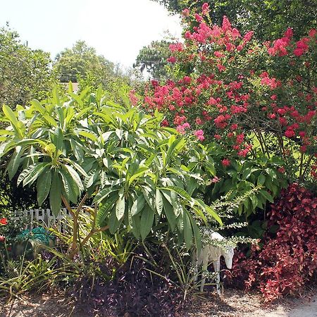 Heron Cay Lakeview Bed & Breakfast Mount Dora Exterior foto