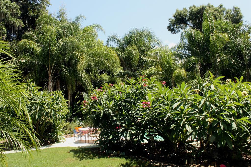 Heron Cay Lakeview Bed & Breakfast Mount Dora Exterior foto
