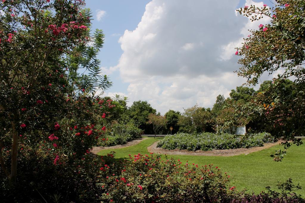 Heron Cay Lakeview Bed & Breakfast Mount Dora Exterior foto
