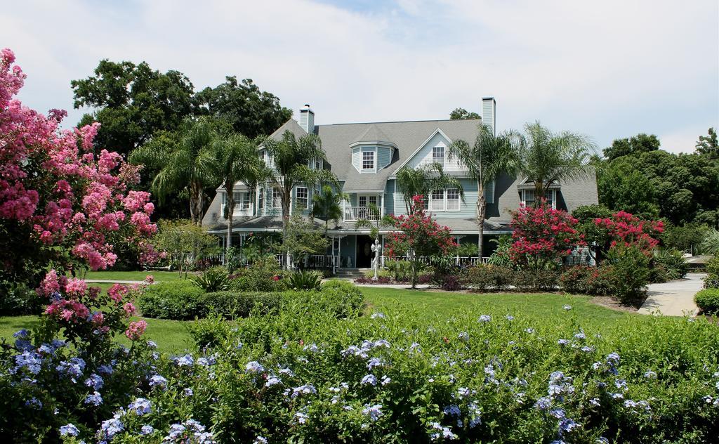 Heron Cay Lakeview Bed & Breakfast Mount Dora Exterior foto